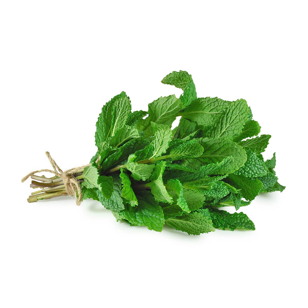 Mint Bunch