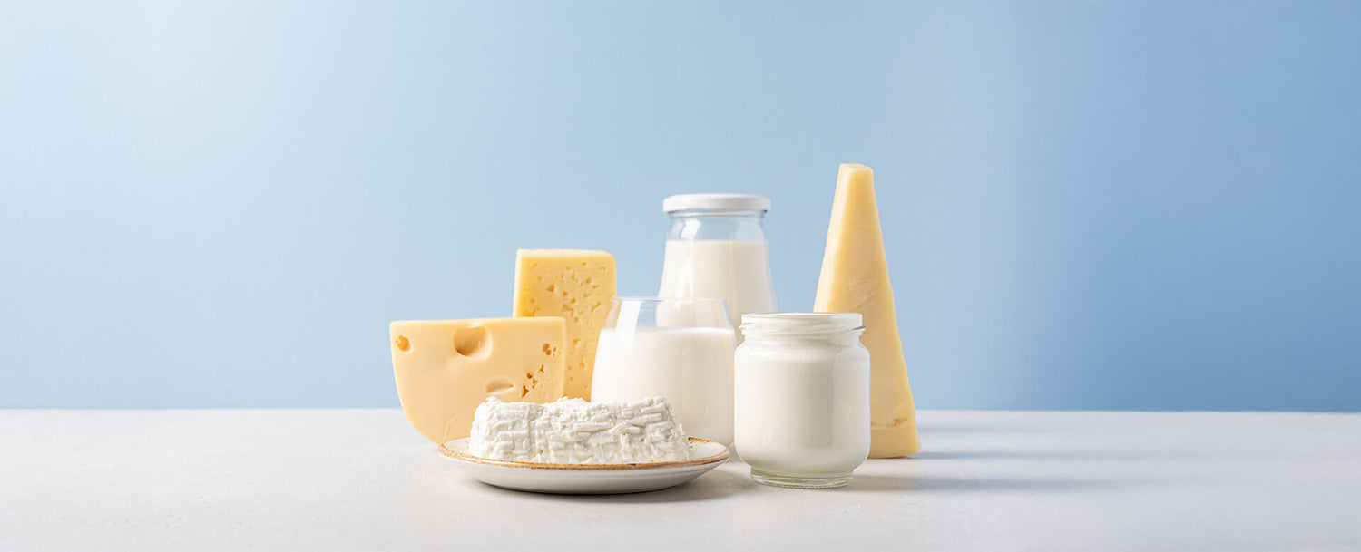 Dairy Products including milk cheese and cream