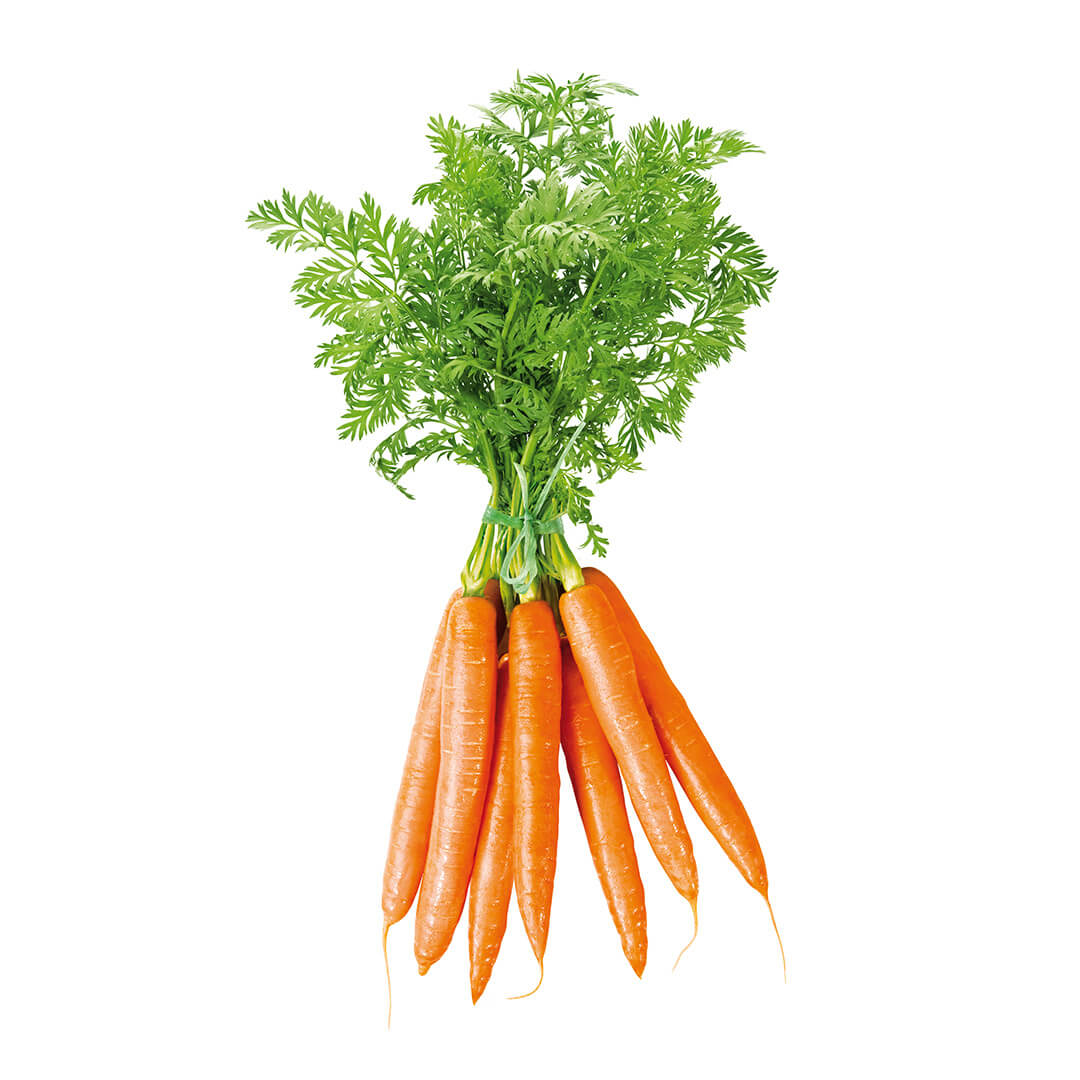 Carrot Bunch