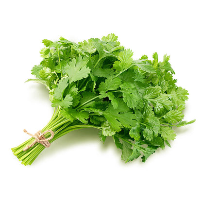Coriander Bunch