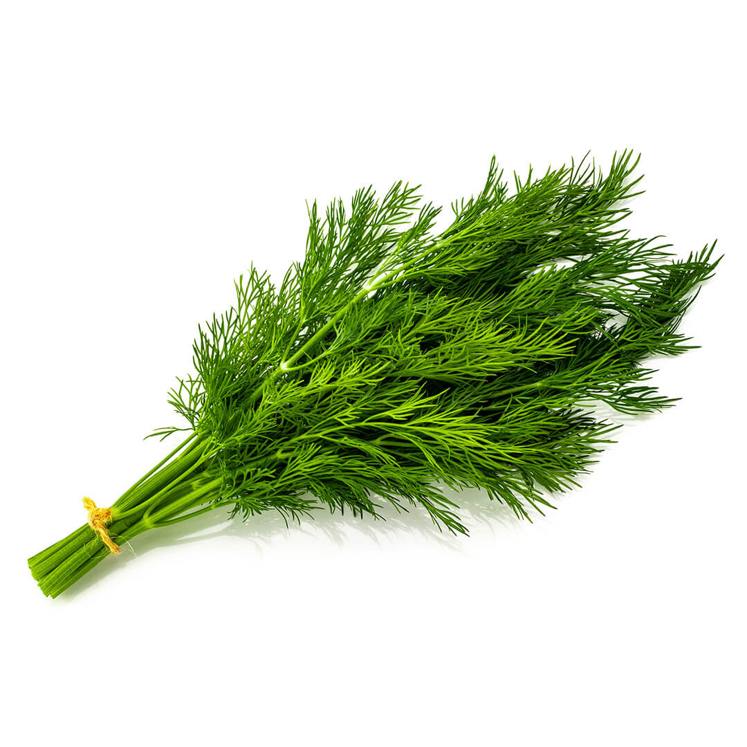 Dill Bunch