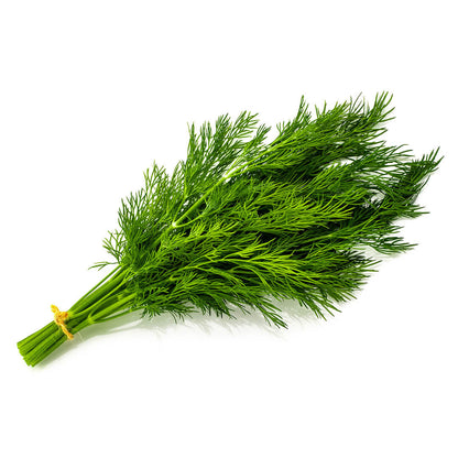 Dill Bunch