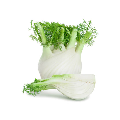 Fennel