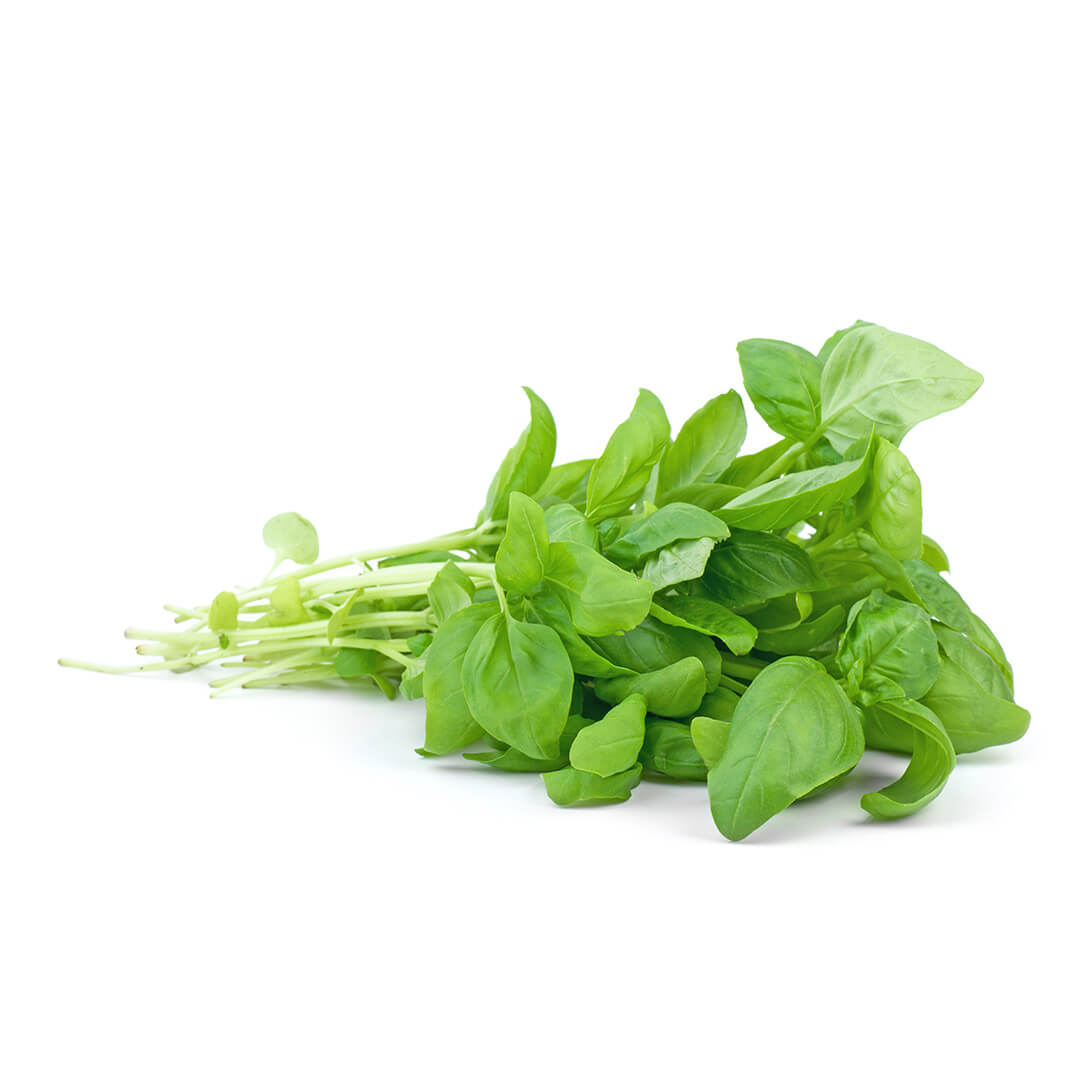 Basil Bunch
