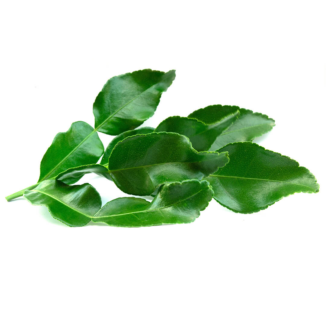 Kaffir Lime Leaves Pack