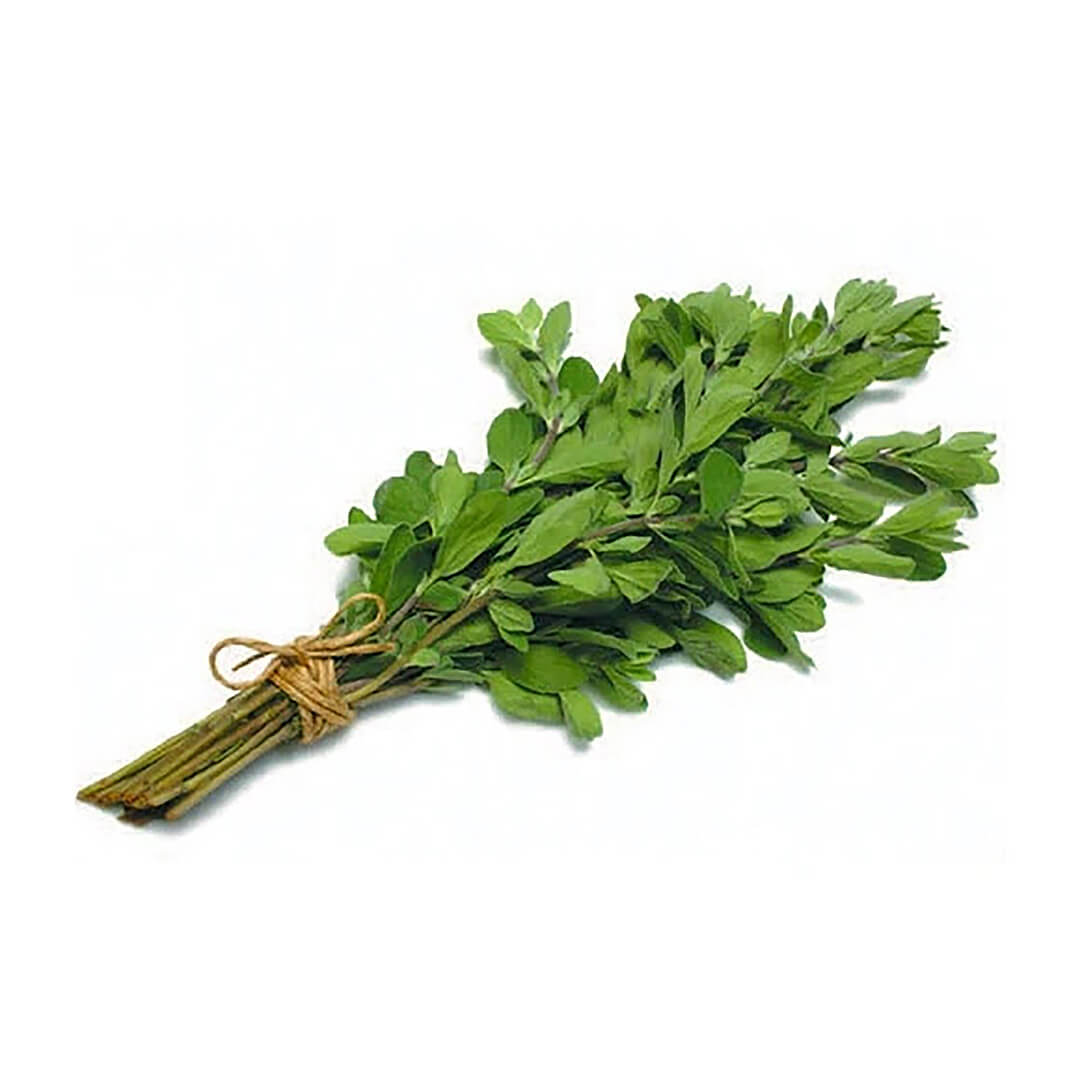 Marjoram Bunch