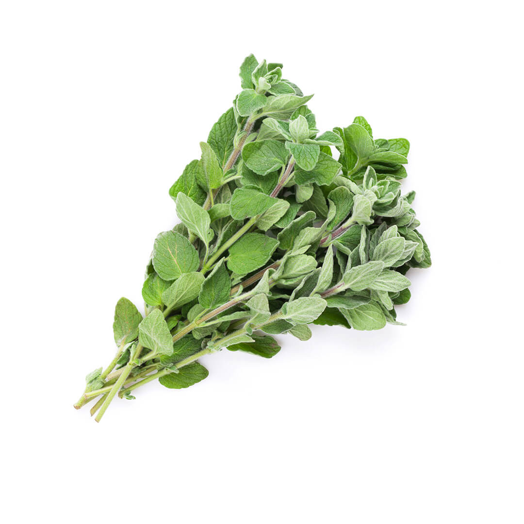 Oregano Bunch