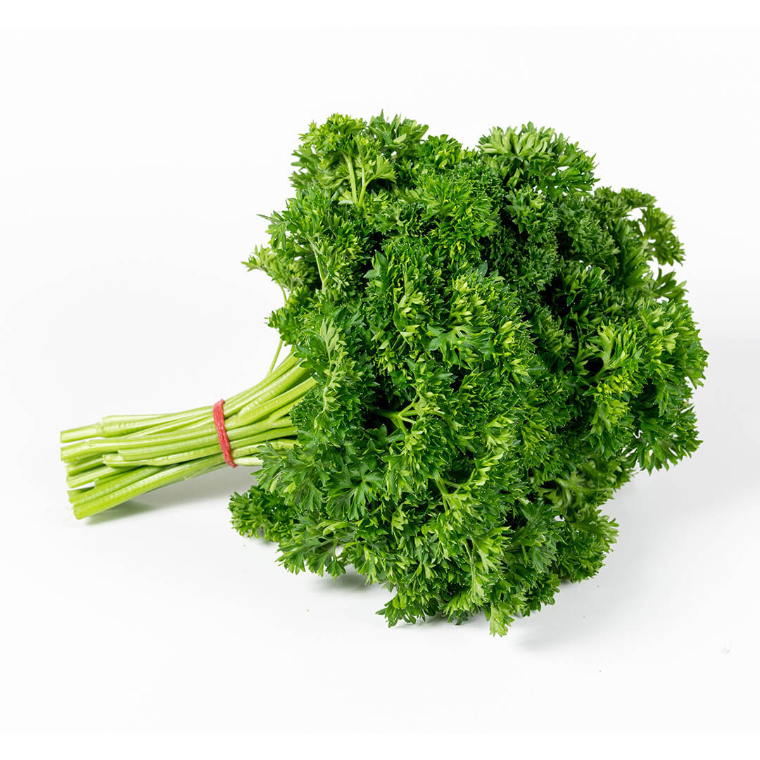 Parsley Curly Leaf Bunch