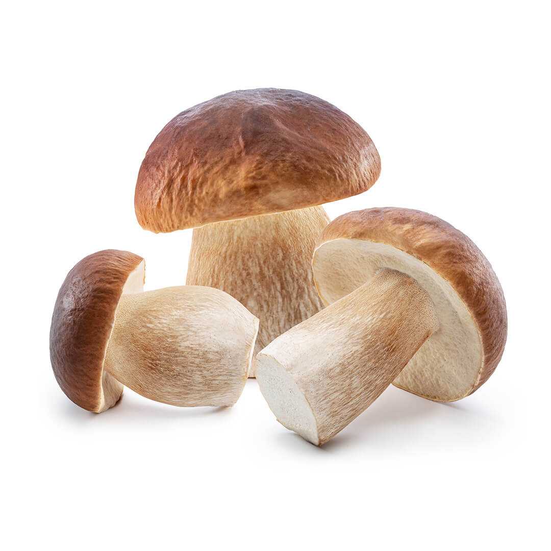 Mushrooms Porcini Pack 25gm