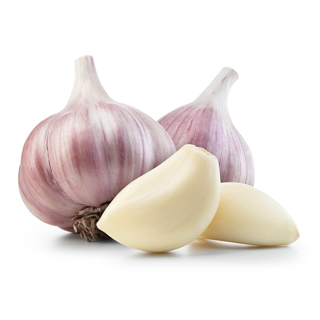 Garlic Purple
