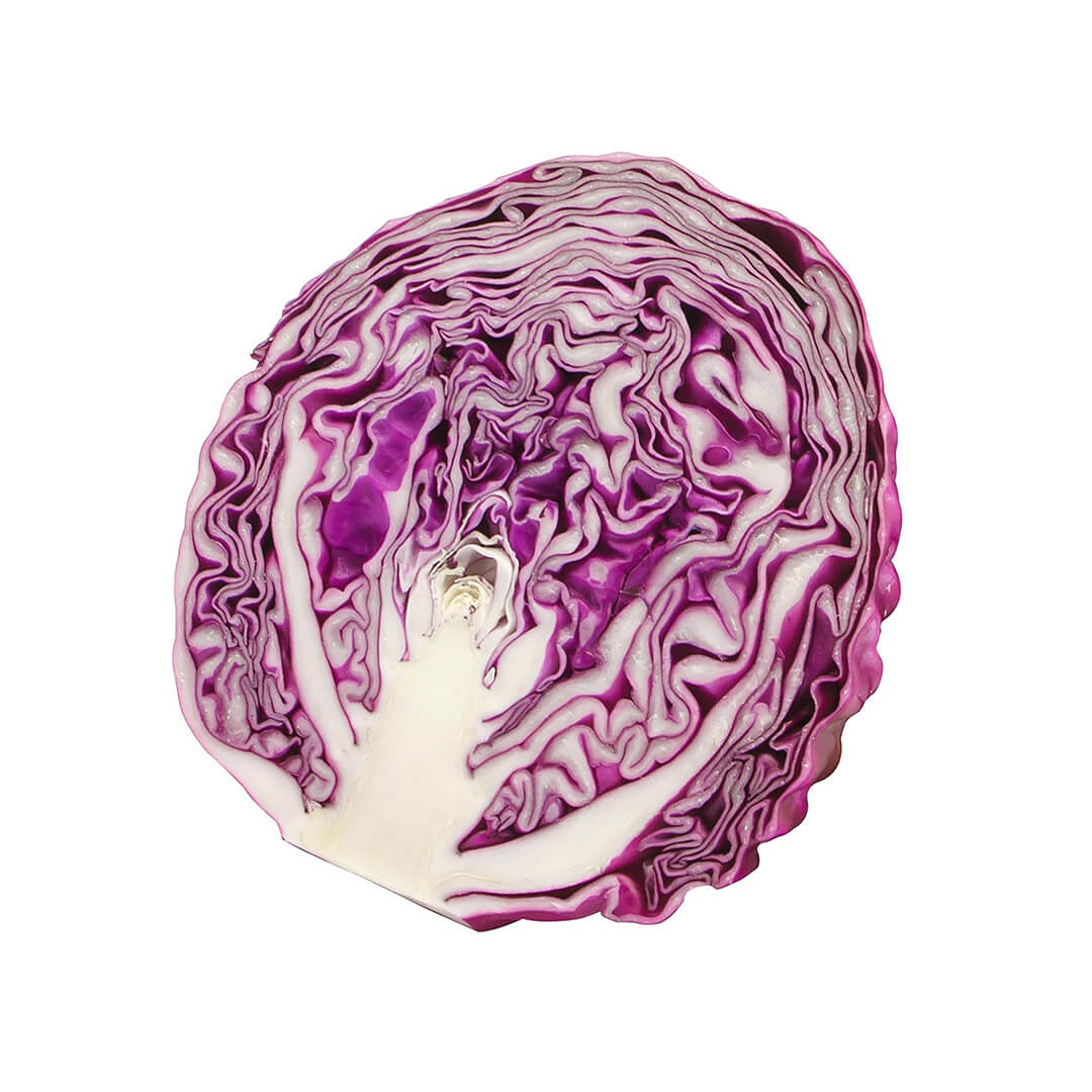 Cabbage Red 1/2