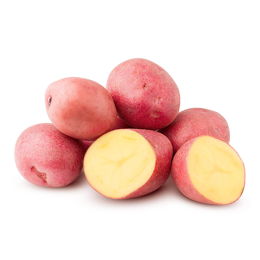 Potato Red