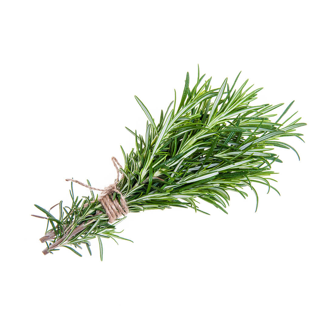 Rosemary Bunch