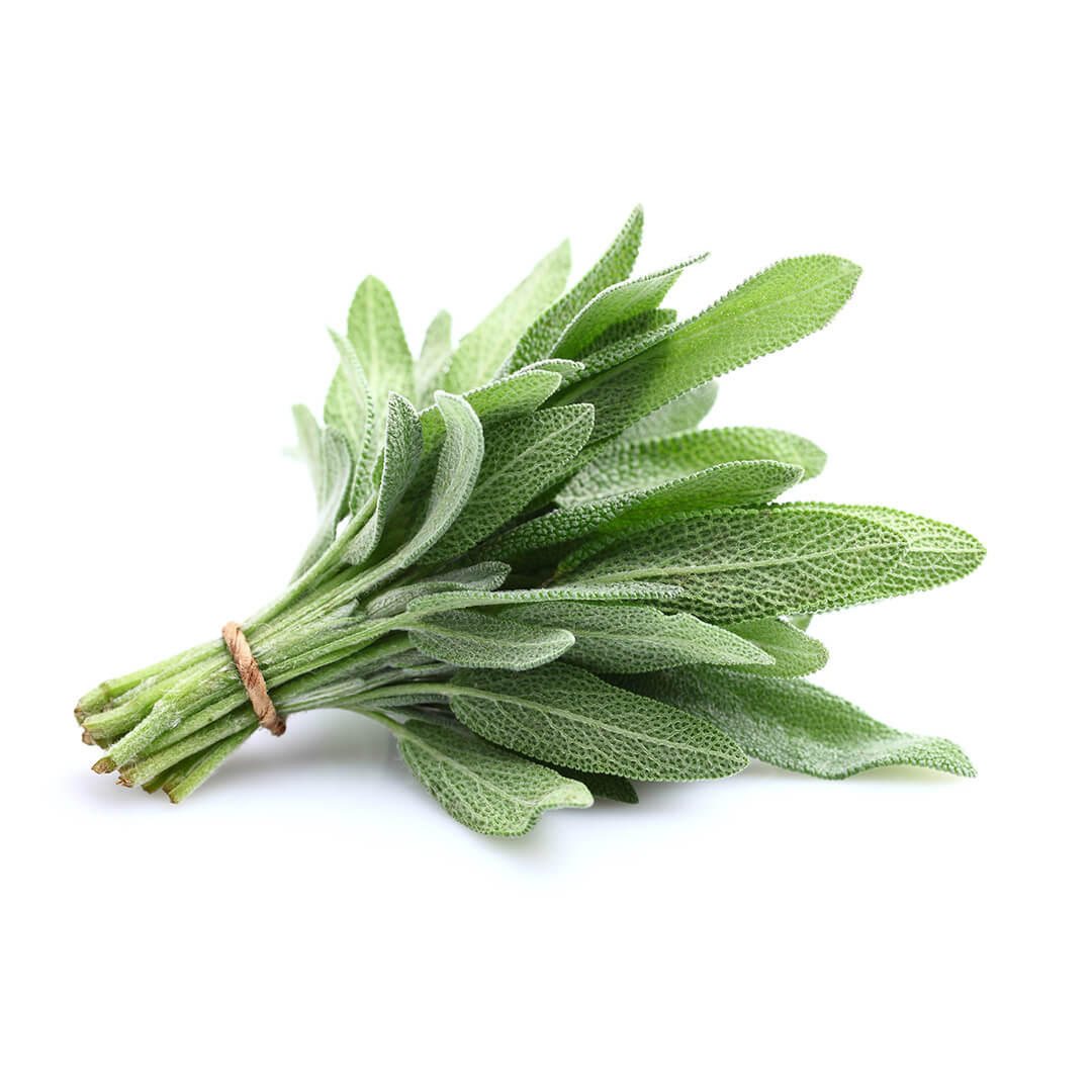 Sage Bunch
