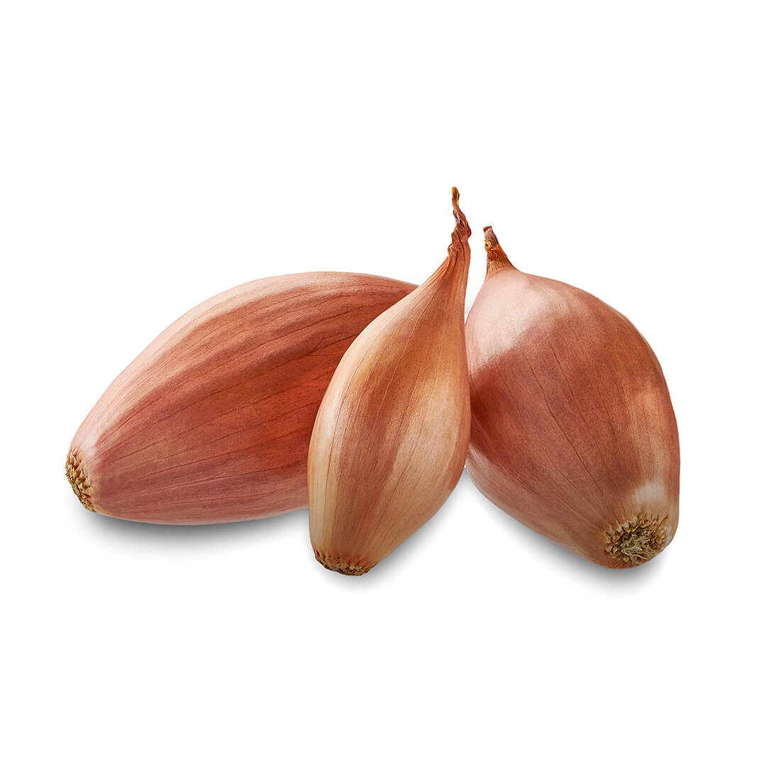 Onion Shallots