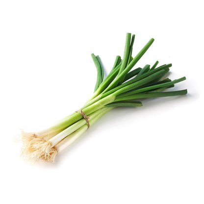 Spring Onion Bunch