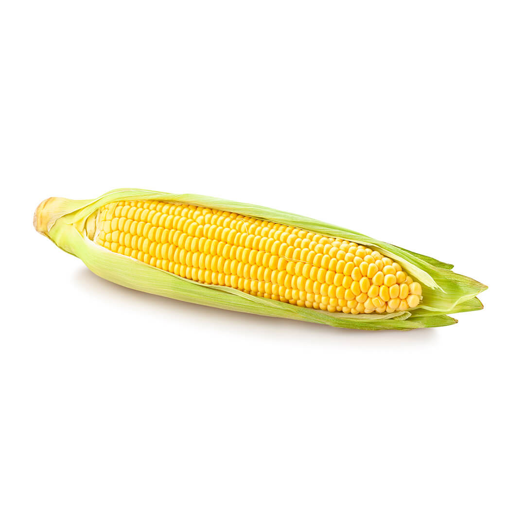 Corn Sweet