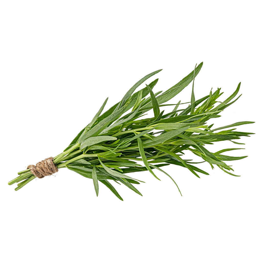 Tarragon Bunch